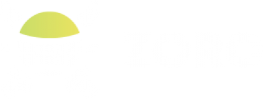 Zoro Anime